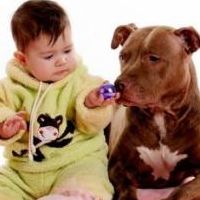 Малыш и собака Малыши и материнство